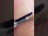 Nail prep trim #shorts #nails #nailart