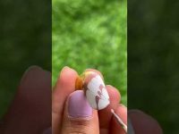 Marble nail art flower nail art #shorts #easynailart #flowernails #nailart #nails #flowers #love