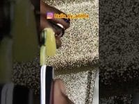 Beautiful Nail arts#nailart  #youtubeshorts#nail designs