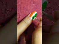 Independence day nail art for beginners #tricolournailart#independencedaynailart#nailart#missakriti