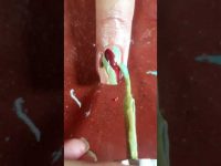 Nail art💅…. #short #youtubeshort #nailart #tutorial #shortvideo