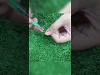 Beautiful nail art design #shorts #nailart #nails #nature