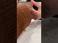 Nail Art Acrylic To Shellac #nailart #nails #beauty #fashion #cityvlogs