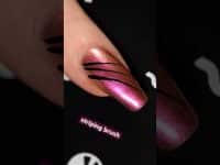 5 New Holo Taco nail art brushes🖌✨