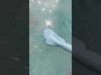 I LET THIS FILTER PICK MY NAIL DESIGN…🤔💅🏼