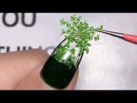 Easy Nail Art Ideas For Beginners – Beautiful Nail Art Designs #Nailart #Nails