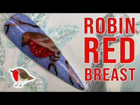 Robin Red Breast Winter Nail Art Design