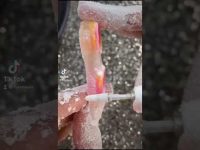 Fuctional: Pop It Fidget Nail Art 💅🏽 #nails #nailtutorial #nailart #nailpolish #nailart